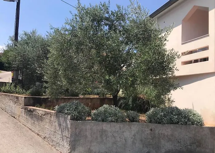 Ruza Διαμέρισμα