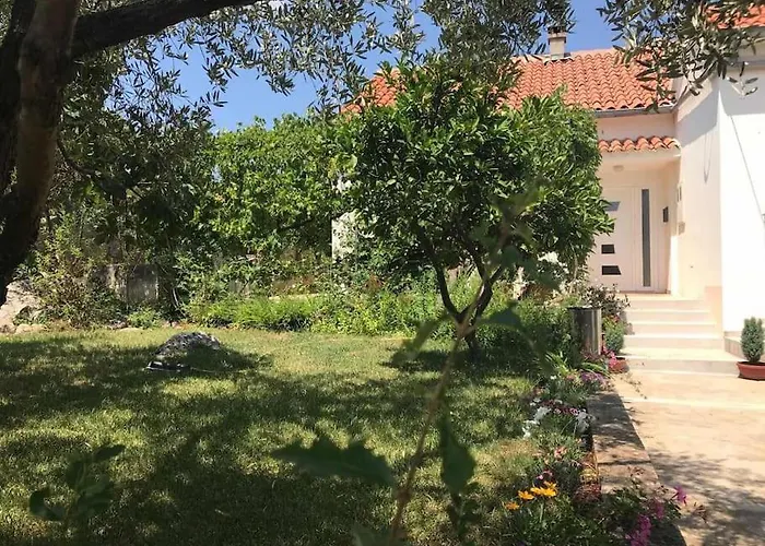 Ruza * Lukoran